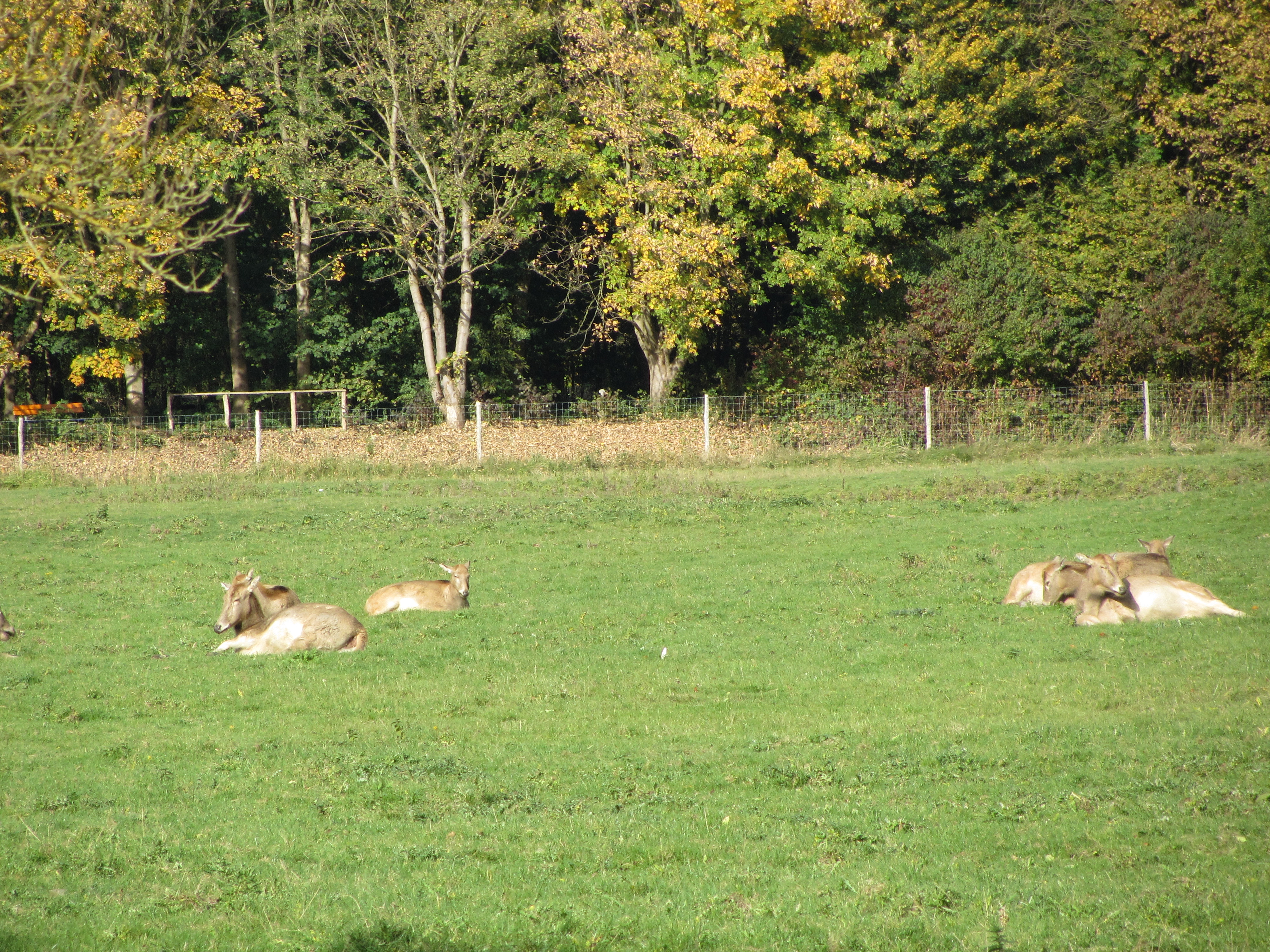 Ipad Marianne 079.JPG